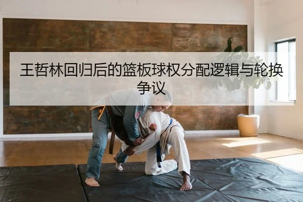 王哲林回归后的篮板球权分配逻辑与轮换争议