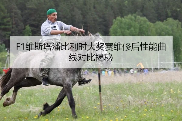 F1维斯塔潘比利时大奖赛维修后性能曲线对比揭秘